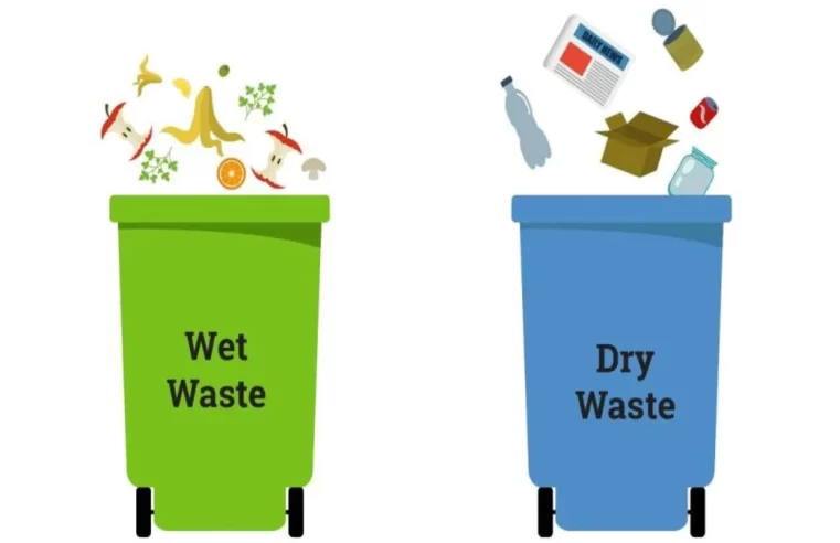 What Are the Best Practices for Commercial Waste Sorting and Segregation?