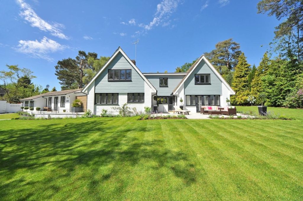 Elevating Your Business Landscape: The Advantages of Expert Lawn Care Services