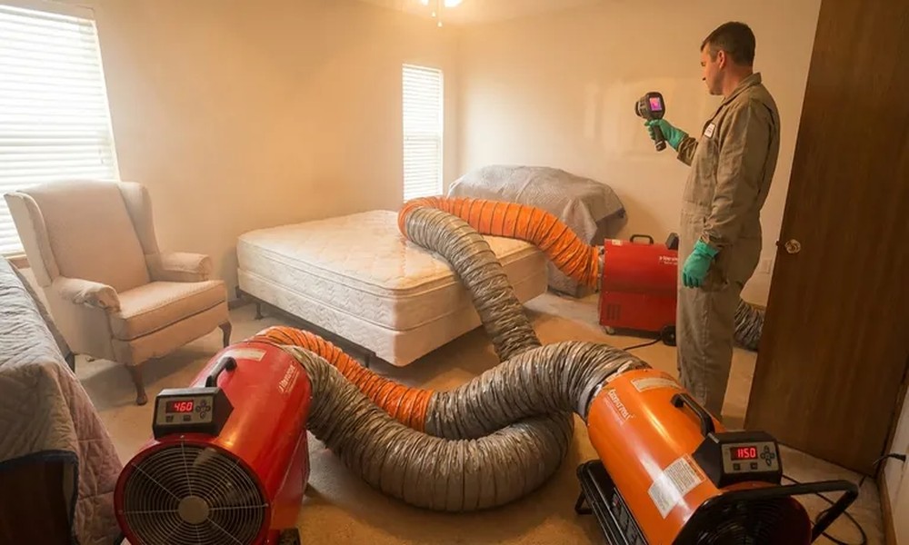 What to Expect After a Hot Bugz Heat Treatment: Signs It Worked, What’s Normal, and When to Call